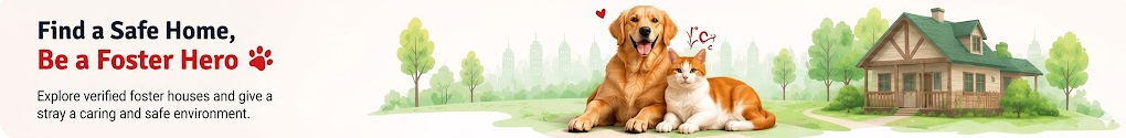 Find a Safe Home, Be a Foster Hero